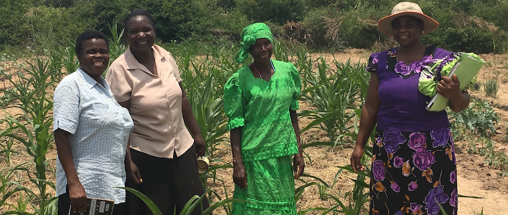 Camfed creates empowerment opportunities for girls in rural Zimbabwe