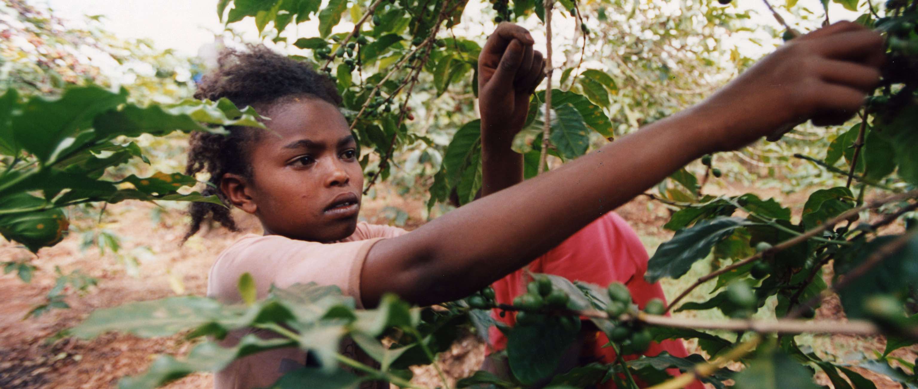 Ending Child Labor: The Dirty Business of Cleaning Up Supply Chains