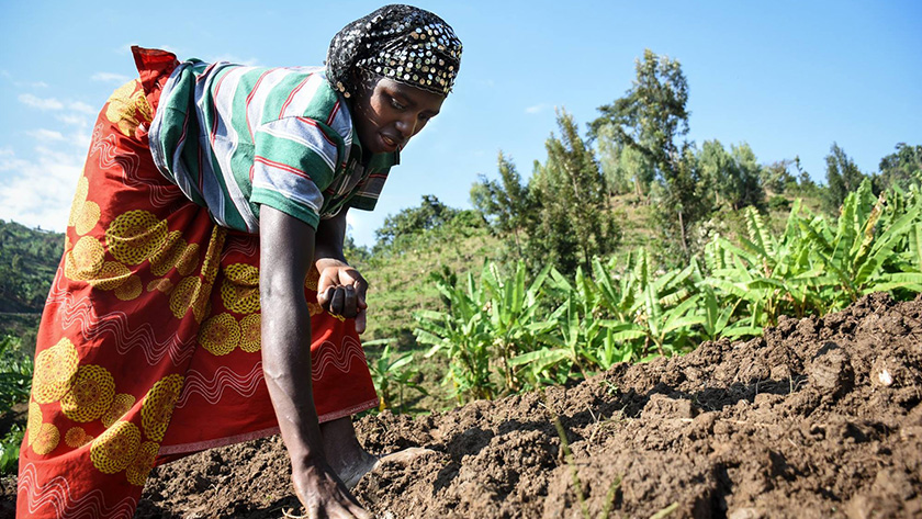 Drocella Yandereye plants maize seeds on her farm in Kagabiro, Rwanda.