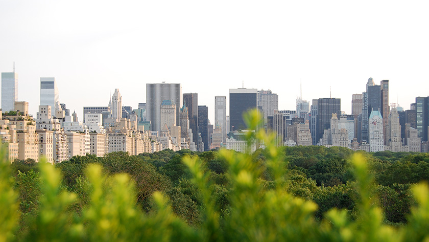 Downtown Manhattan skyline viewed from Central Park treeline