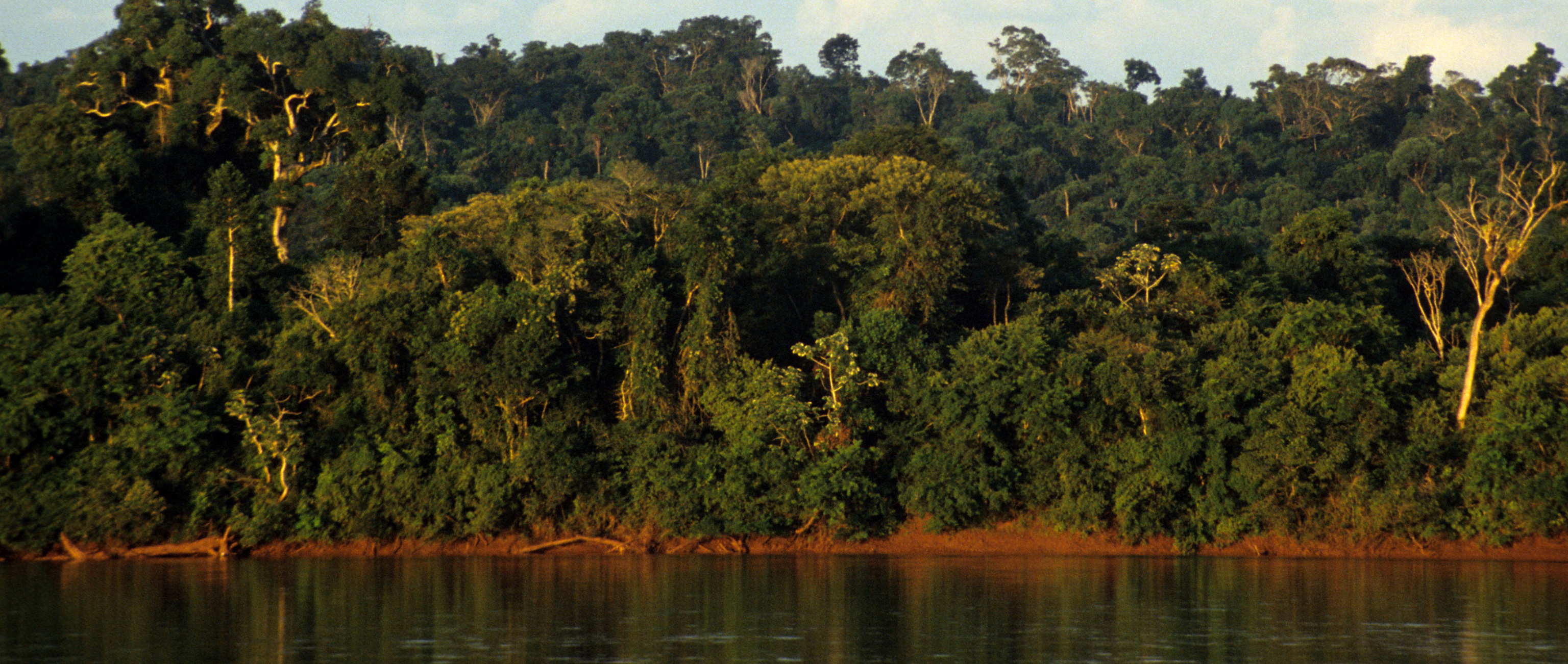 Saving Rainforests with Indigenous Rights-Based Conservation