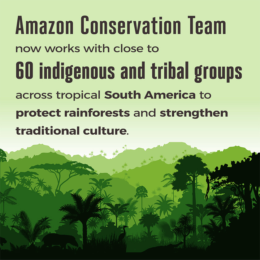 Amazon Conservation Team now works with close to 60 indigenous and tribal groups across tropical South America to protect rainforests and strengthen traditional culture. 