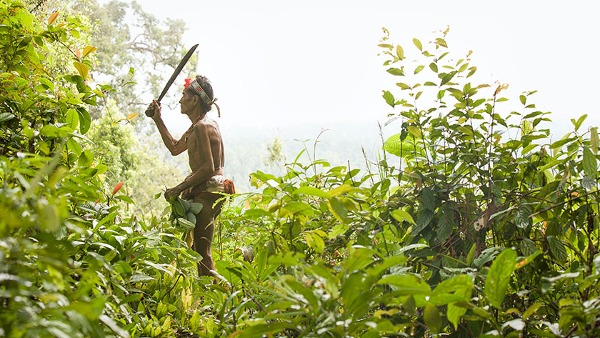 A member of Mentawai Indigenous group swinging a machete, West Sumatra, Indonesia